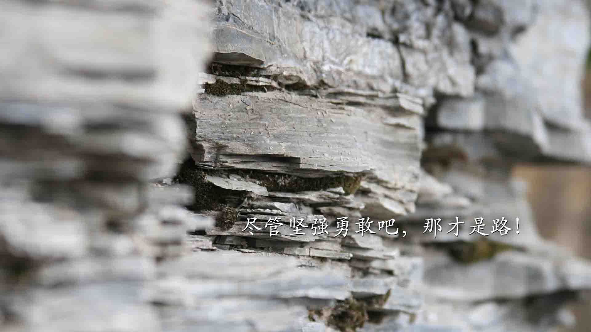 2018年库尔图瓦:比利时黄金一代的最佳,库尔比斯